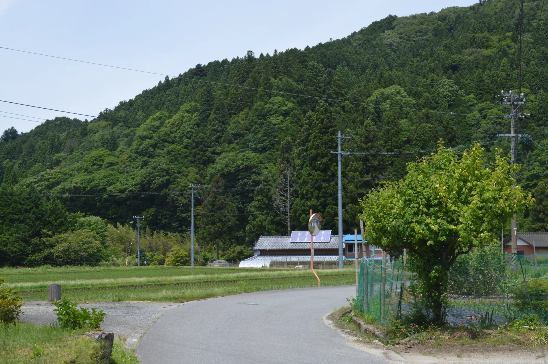 Rice fields and village houses beneath a forested hillside in Tsukize, Neba.